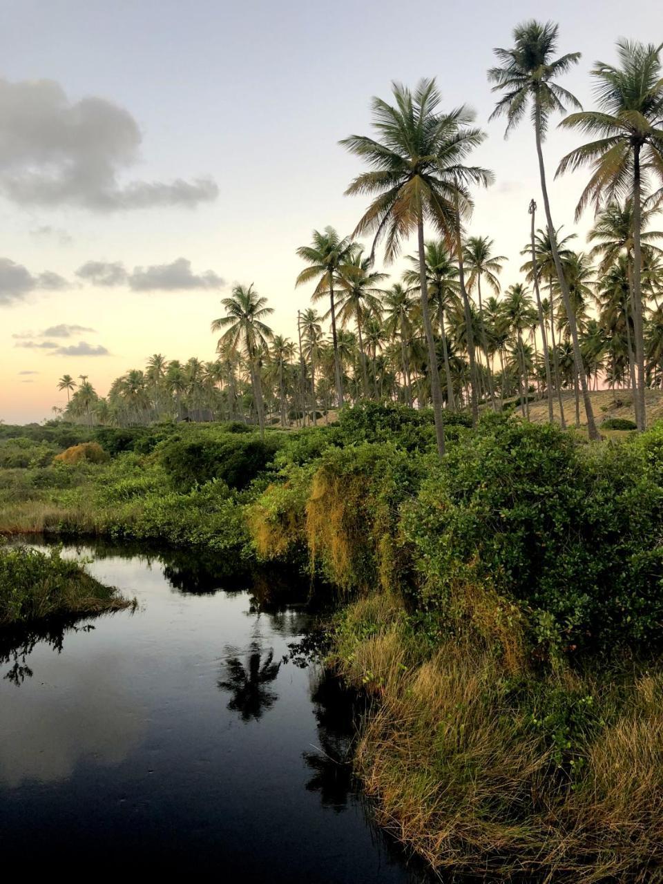 Lindo Village Imbassai มาตา เด เซาโจเอา ภายนอก รูปภาพ